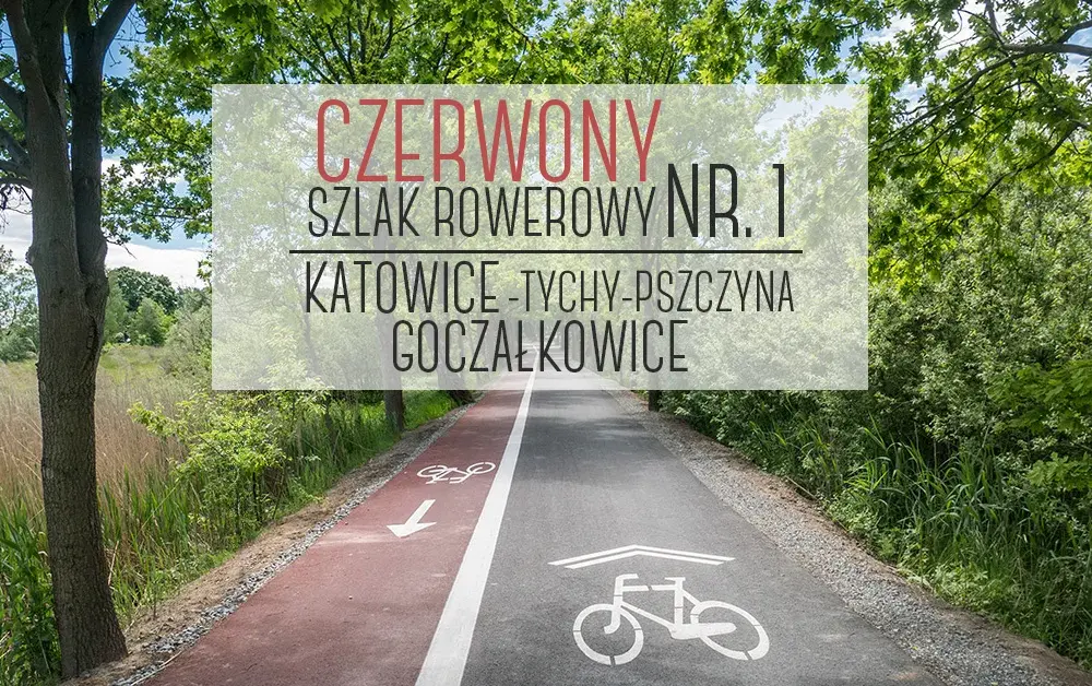 Trasa rowerowa Katowice Pszczyna – odkryj łatwą i malowniczą trasę