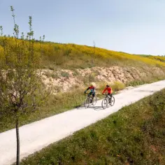 Najpiękniejsza trasa rowerowa w Polsce – odkryj ukryte skarby natury