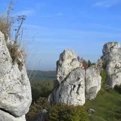 Najlepsze trasy rowerowe w Częstochowie - idealne na wycieczki
