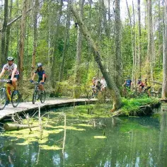 Trasy rowerowe w Biebrzańskim Parku Narodowym - odkryj piękno natury