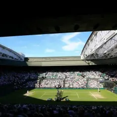 Gdzie oglądać transmisję Wimbledonu? Sprawdź najlepsze opcje