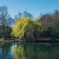 Najlepsze trasy rowerowe w Charzykowy - odkryj ukryte skarby