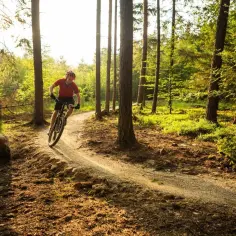 Najlepsze trasy rowerowe w Gdańsku - odkryj ukryte skarby miasta